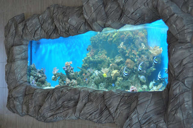 Гостиница Держава Пенза-48