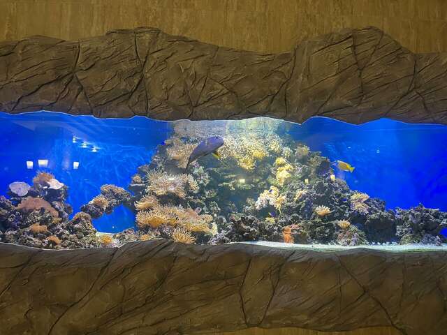 Гостиница Держава Пенза-178